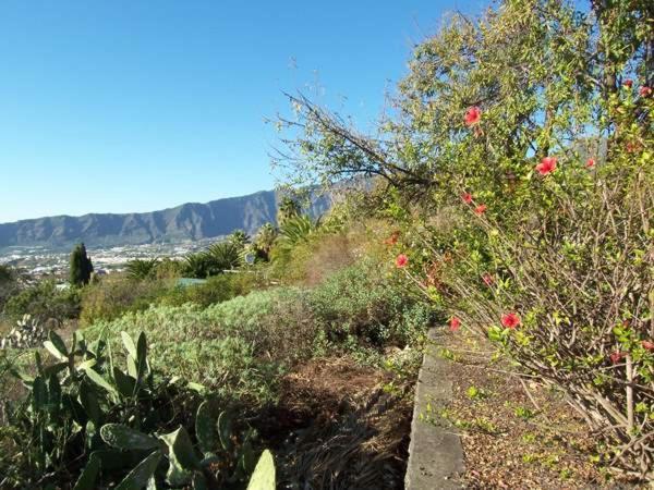 Casitas Vista Valle Bajo El Paso Ngoại thất bức ảnh